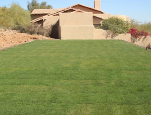 Residential Project in Phoenix, Arizona