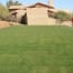 Residential Project in Paradise Valley - After Landscape renovation. Congleton Sod Install - Final