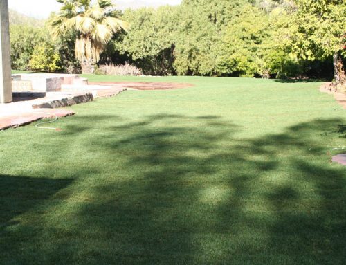 Sprinkler Systems Gallery