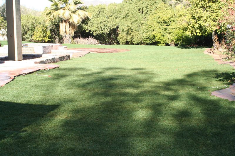 Sprinkler & Sod Installation