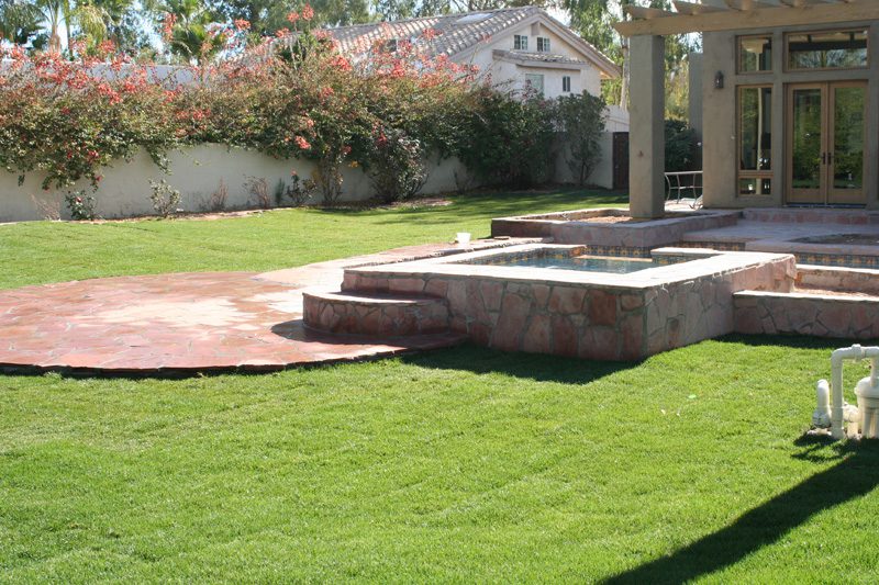 Phoenix Sod and Plant Installation from Southwest Lawn Sprinkling Specialists