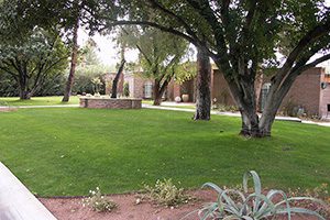 Sprinkler System Maintenance available at Southwest Lawn Sprinkling Specialists in Phoenix, Arizona