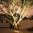 Southwest Lawn Sprinkling Specialists - Video Gallery